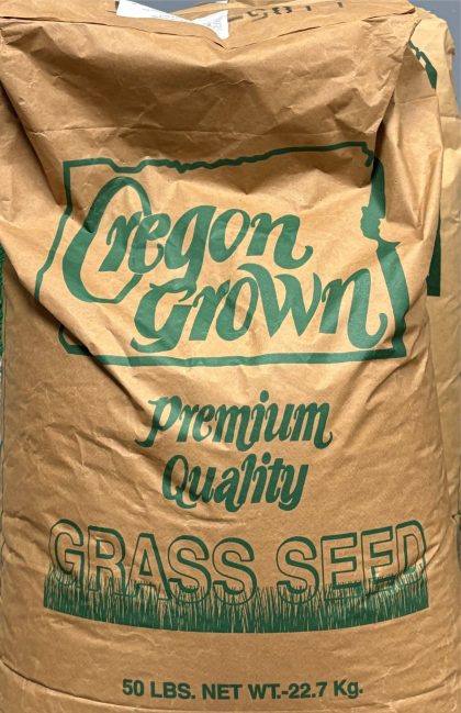 Rye Grass Seed