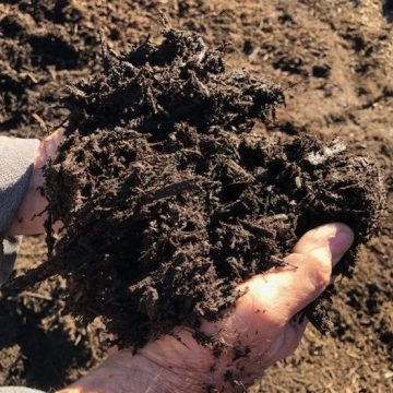 Natural Brown Mulch