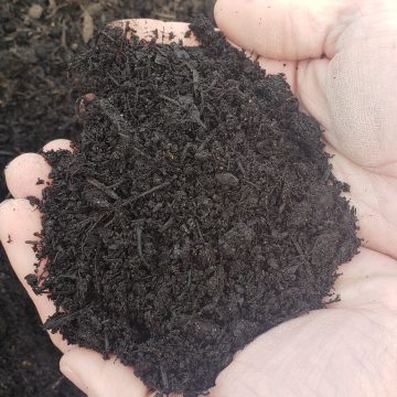 Leaf Compost