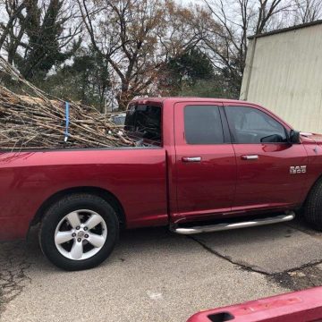 Brush Drop Off- Pick Up Truck