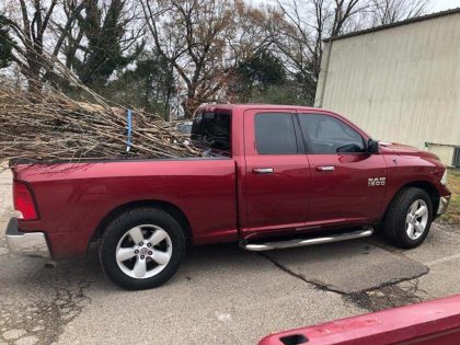 Brush Drop Off- Pick Up Truck