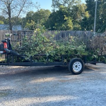 Brush Drop Off- Single Axle Trailer