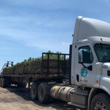 Forklift Delivery