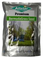 Bermuda Seed